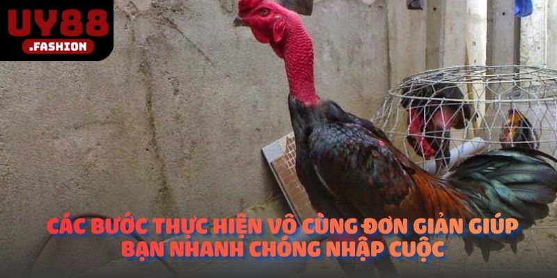 Các bước thực hiện vô cùng đơn giản giúp bạn nhanh chóng nhập cuộc