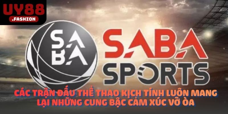 Các trận đấu thể thao kịch tính luôn mang lại những cung bậc cảm xúc vỡ òa